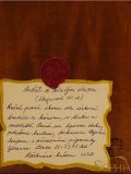 ANDEL-SE-ZLATYM-VLASEM-ZS_1